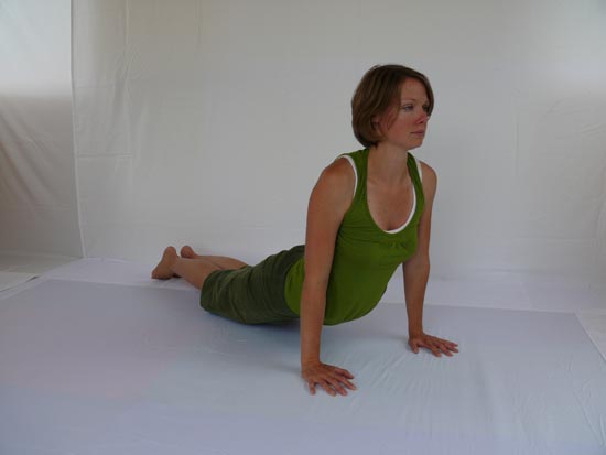 Step 24
