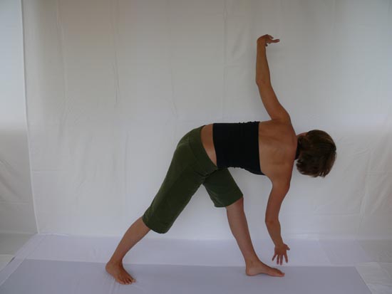 Step 11
